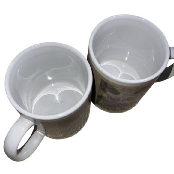 Magnolia Grandiflora Ceramic Coffee Mug Set Of 2 By Thirstystone 2000 White & Be - Picture 4 of 7